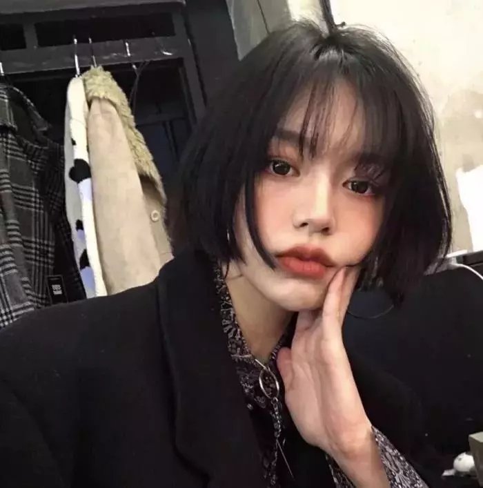 灰熊传说